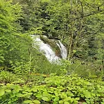 In Near Lift Alpstuga