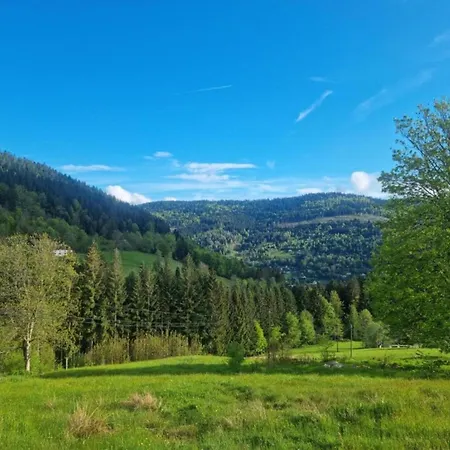 Chalet In Near Lift Ventron