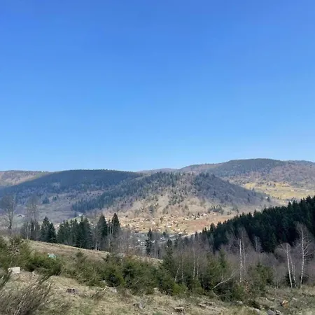 In Near Lift *