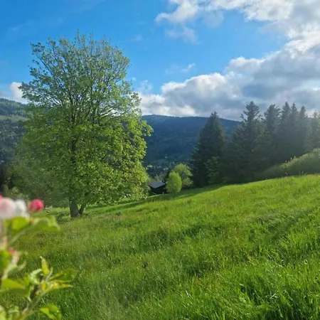 Chalet In Near Lift Ventron