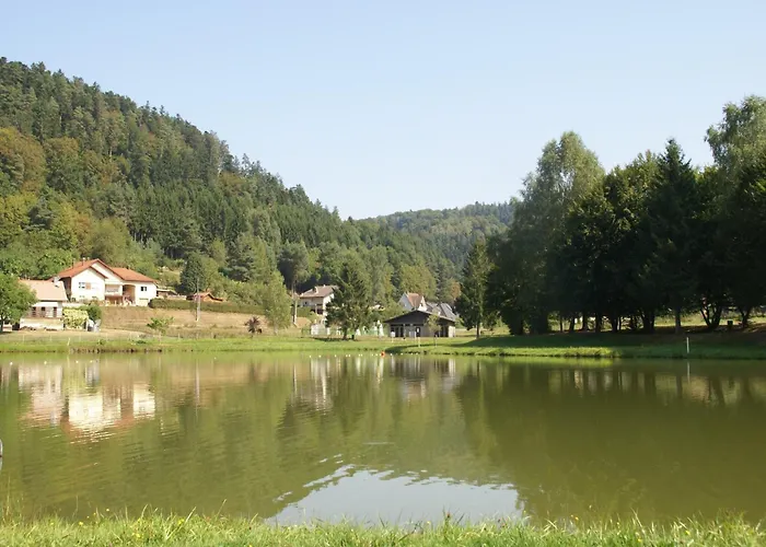 In Near Lift Ventron