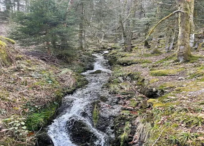 In Near Lift Chalet Ventron