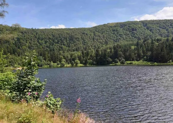 In Near Lift * Ventron