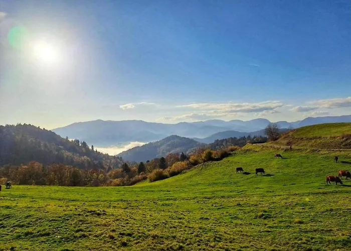 In Near Lift Chalet *