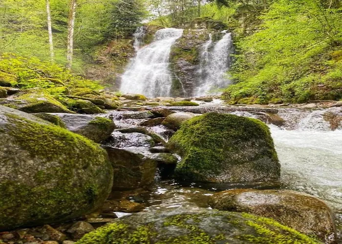 In Near Lift Chalet *