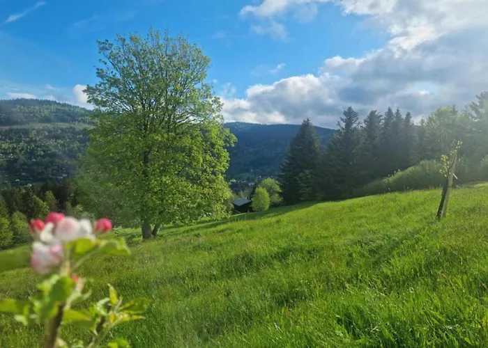 Chalet In Near Lift Ventron